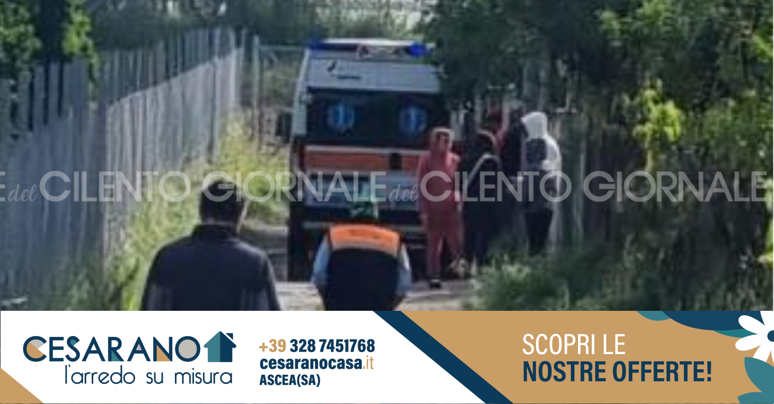 Bambino Sbranato E Ucciso Da Due Pitbull Aveva Solo Mesi Ferita La