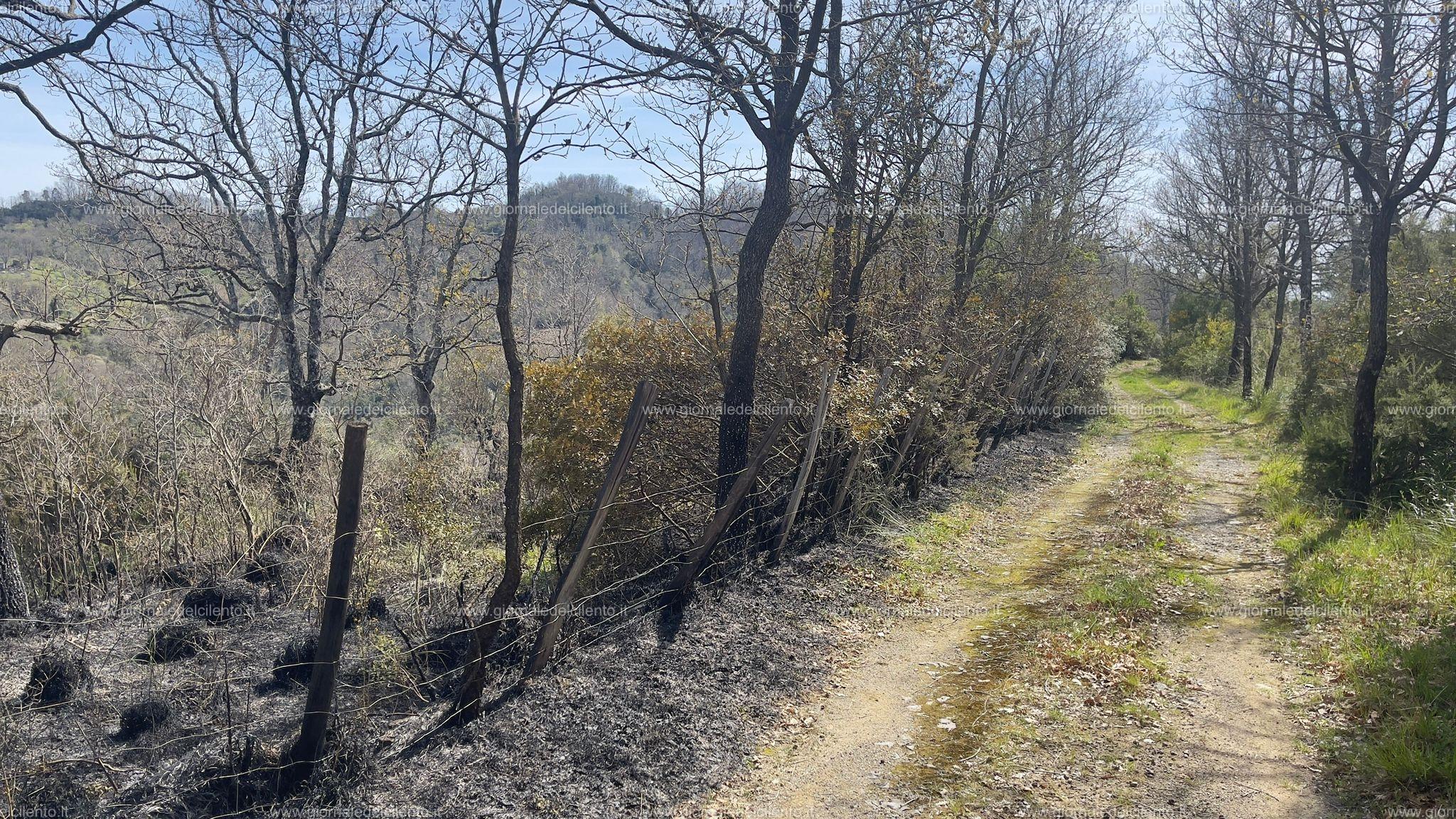 Incendio a Torraca, le fiamme lambiscono un capannone