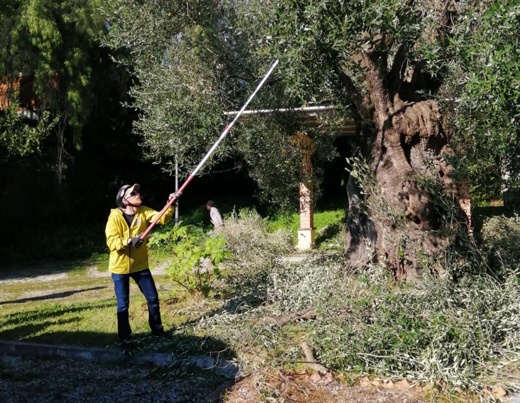 Cilento, concluso il corso ‘Potare lento’: nuove opportunità per inserirsi nel mondo del lavoro