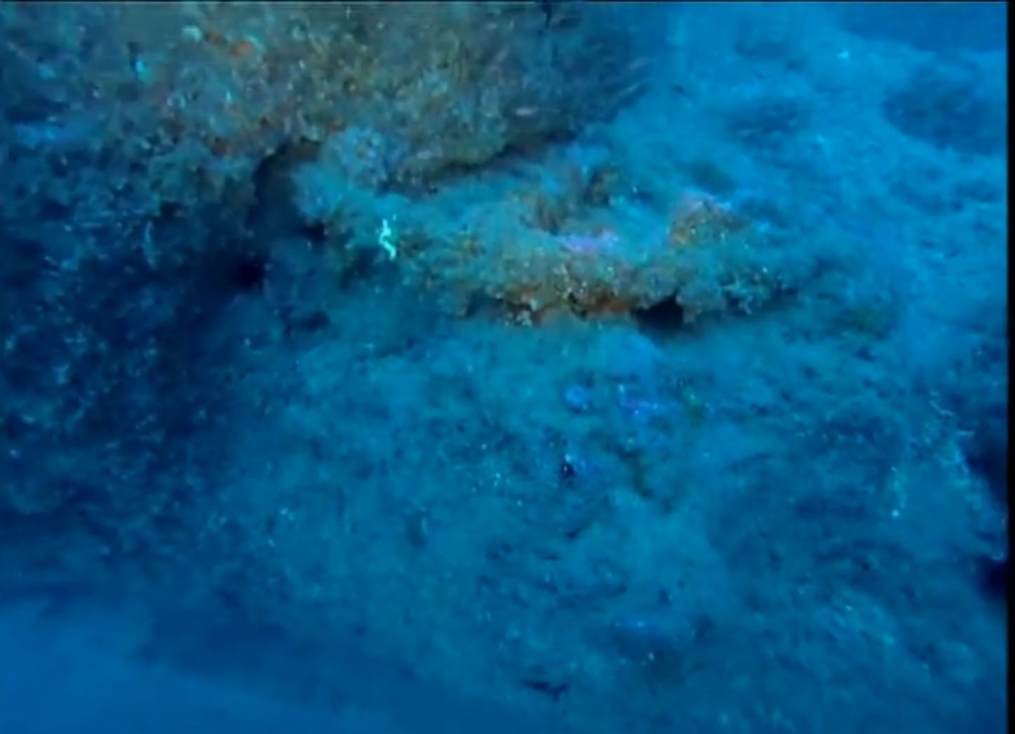 Ancora romana sui fondali di Capo Palinuro, sub in missione mostra il reperto a 52 metri di profondità