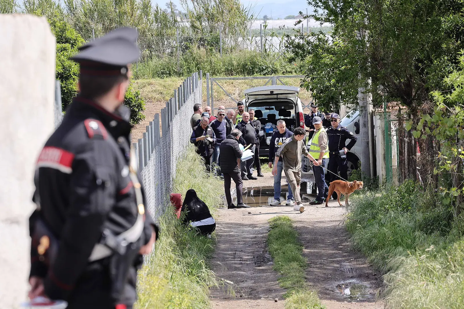 Tragedia Eboli: oggi il rilascio di Totò e Pablo, i pitbull che hanno ucciso il piccolo Francesco Pio