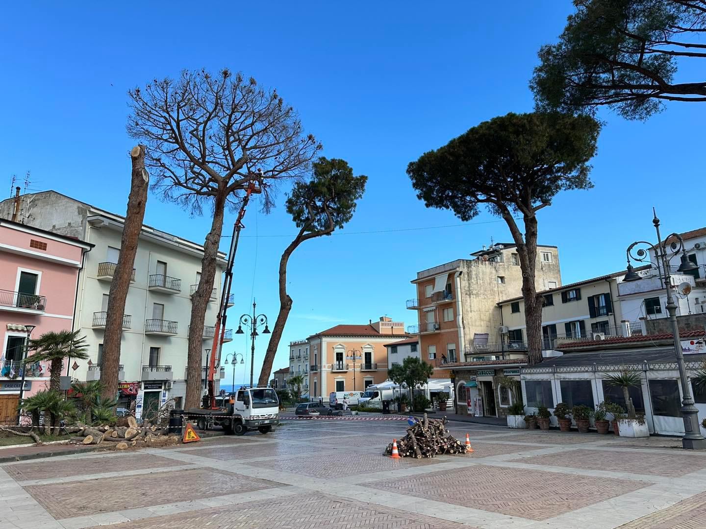 Santa Maria di Castellabate, via al taglio dei pini in piazza Lucia: «Intervento necessario»