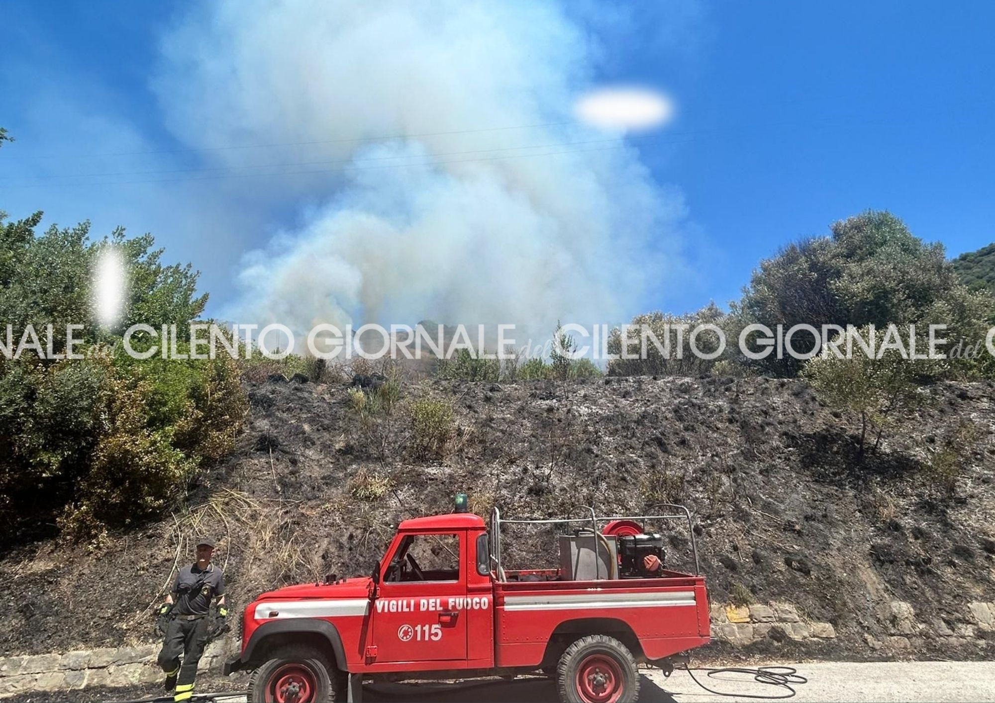Incendio sulla collina tra Pioppi e Acciaroli: sul posto vigili del fuoco e polizia locale