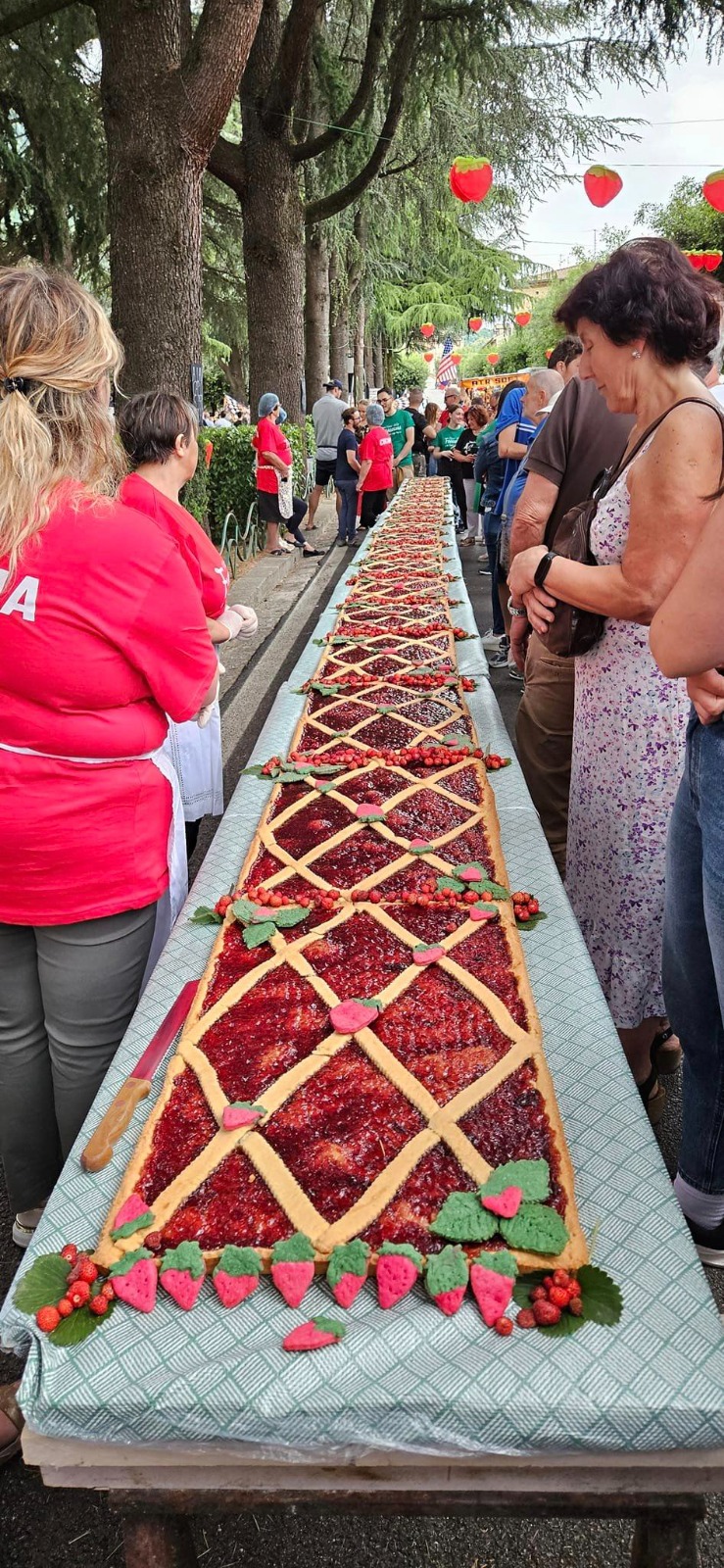 Fragolina di bosco a Petina, un successo la sagra con la crostata lunga decine di metri