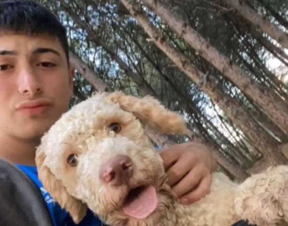 Incidente a Buccino, indagini in corso sulla morte del 16enne: trovato ferito in strada dagli amici