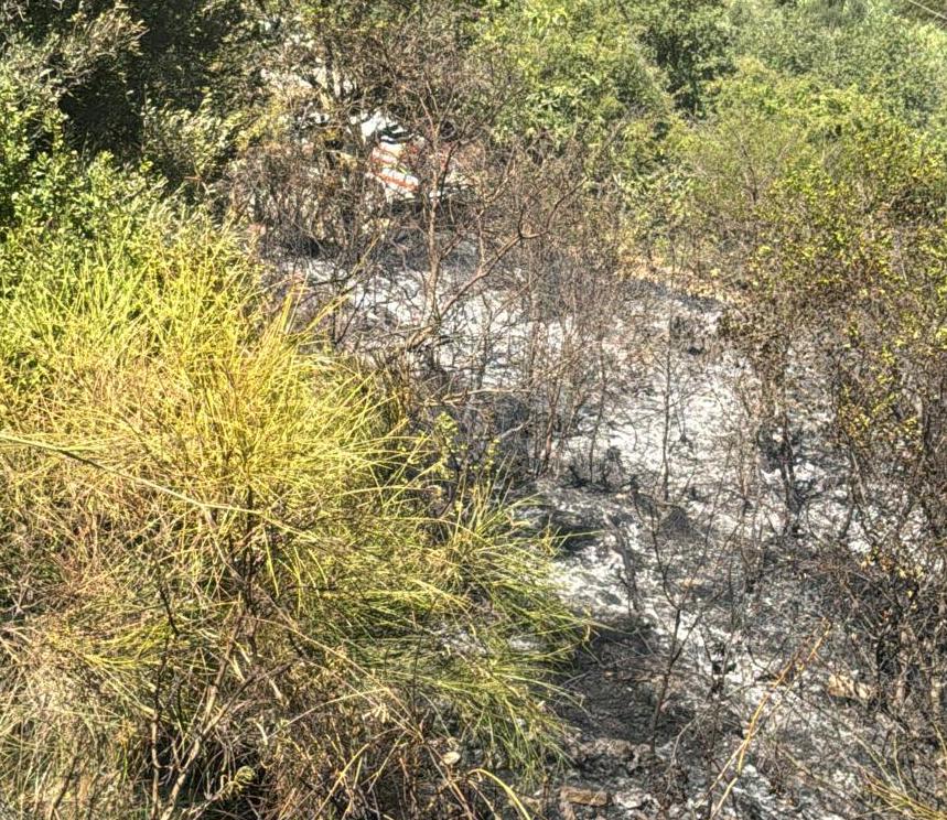 Incendio tra Castellabate e Perdifumo: fiamme colpiscono contrada Difesa Alta