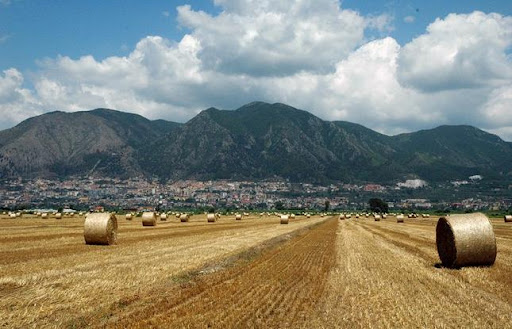 Parco del Cilento, finanziato dal Ministero progetto di valorizzazione dell’agricoltura nelle aree protette
