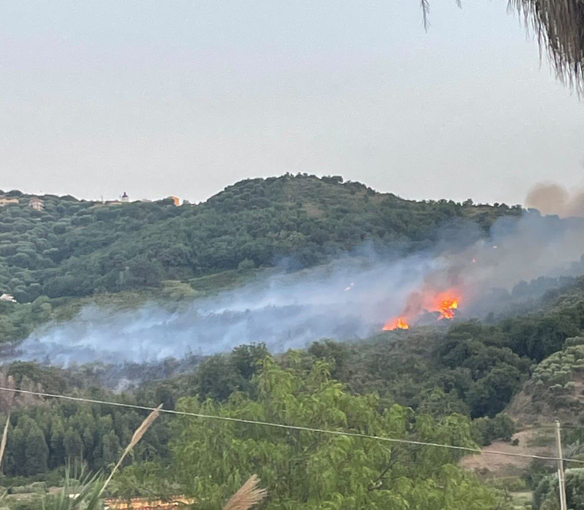 Incendi devastano le colline, ettari di vegetazione in fumo ad Ascea e Centola