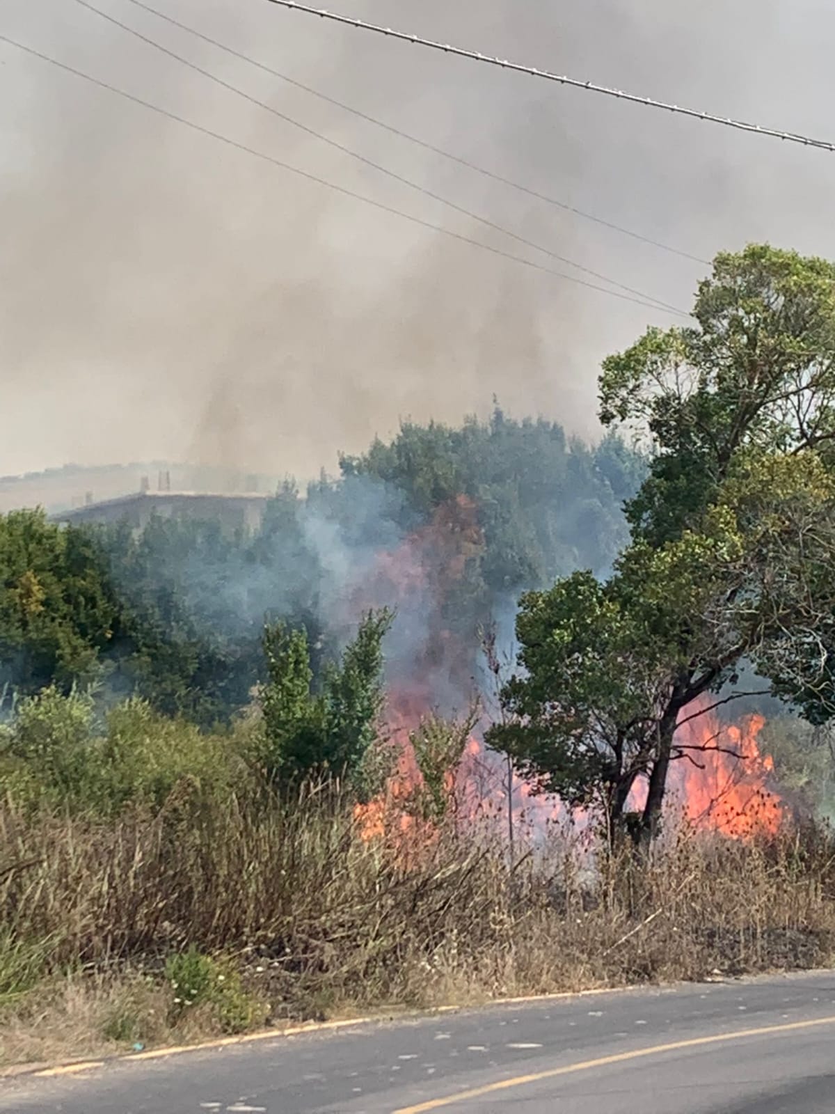 Castelnuovo Cilento, incendio in località Tempa del Mal Consiglio