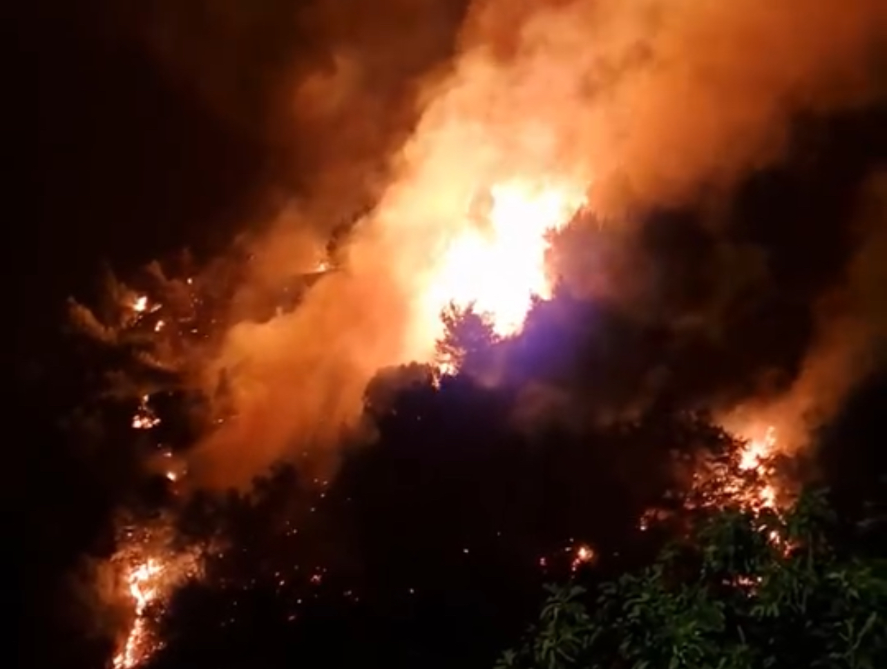 Le fiamme minacciano Marina Campagna: inferno di fuoco nella notte a Pisciotta