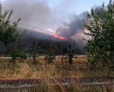 Incendio ai margini dell’autostrada del Mediterraneo nei pressi dello svincolo di Sala Consilina