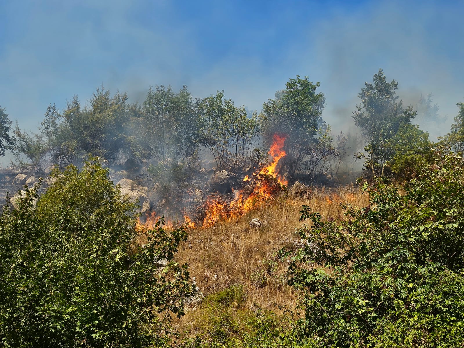 Polla, incendio alimentato dal vento: difficili le operazioni di spegnimento