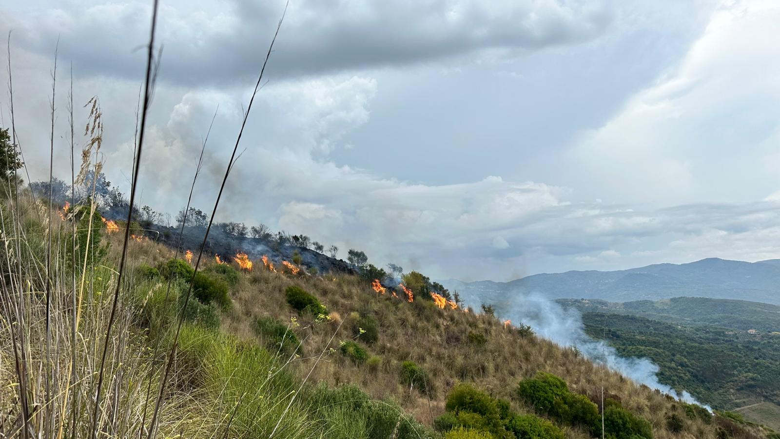 Lustra, incendio colpisce collina non lontana dalle case