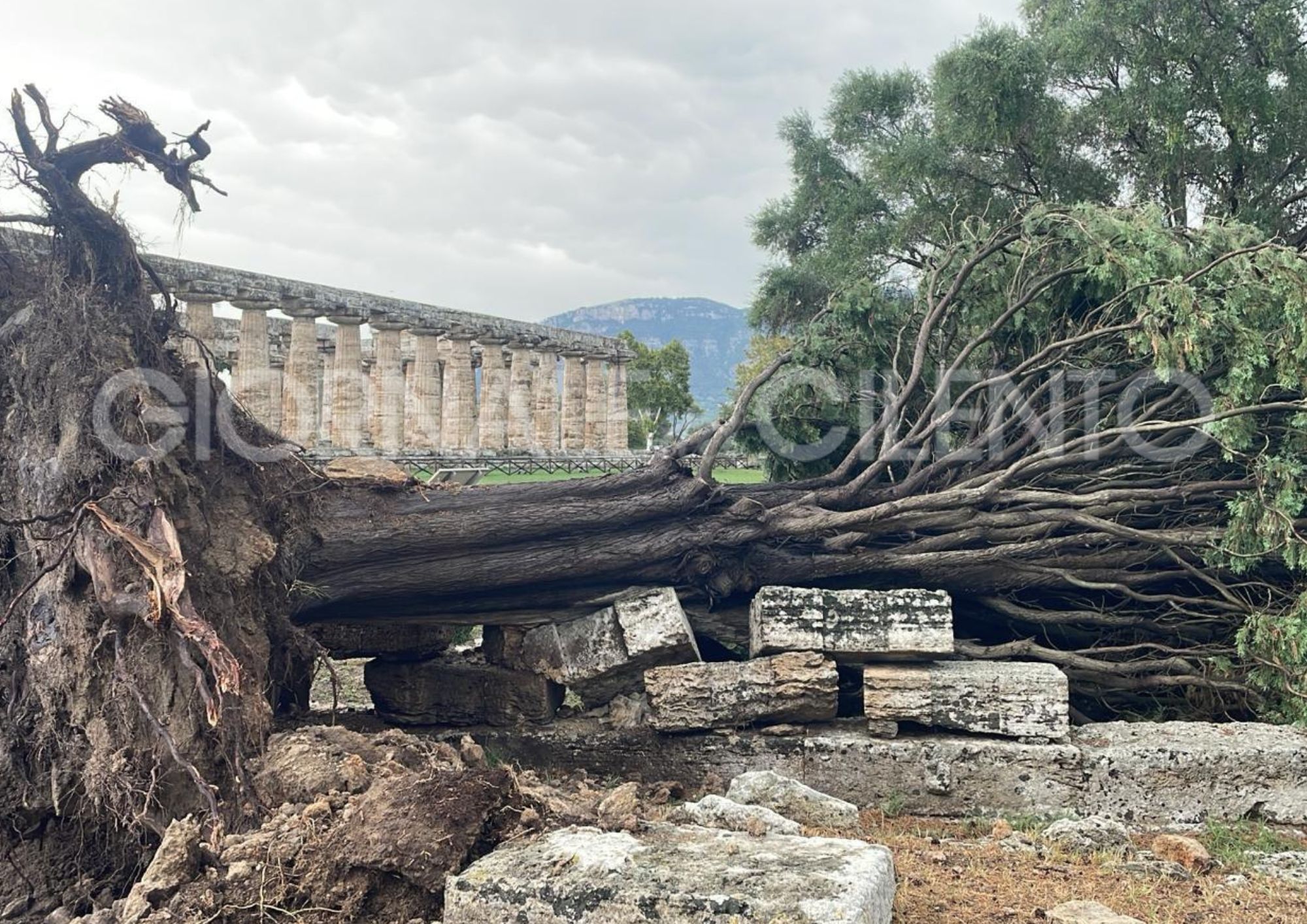 Nubifragio sul Cilento: cade cipresso nell’area archeologica di Paestum, danni nei lidi balneari