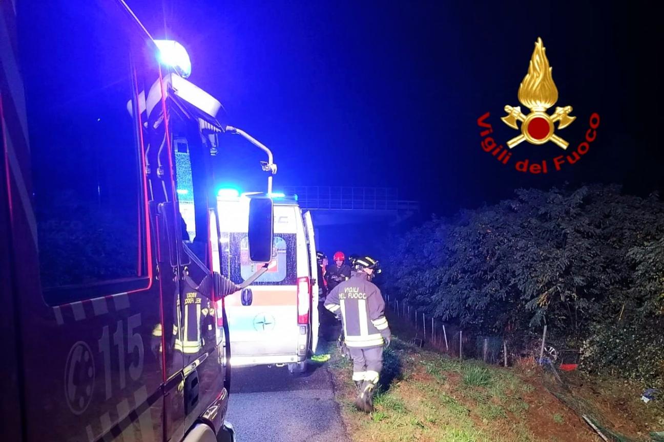 Incidente sulla Bussentina: coppia finisce fuori strada per evitare cinghiali