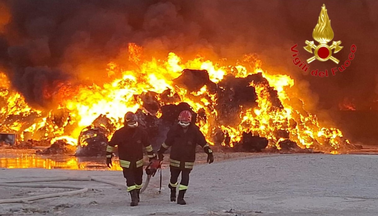 Rogo ecoballe Persano, tracce diossina nel latte: scatta l’allarme