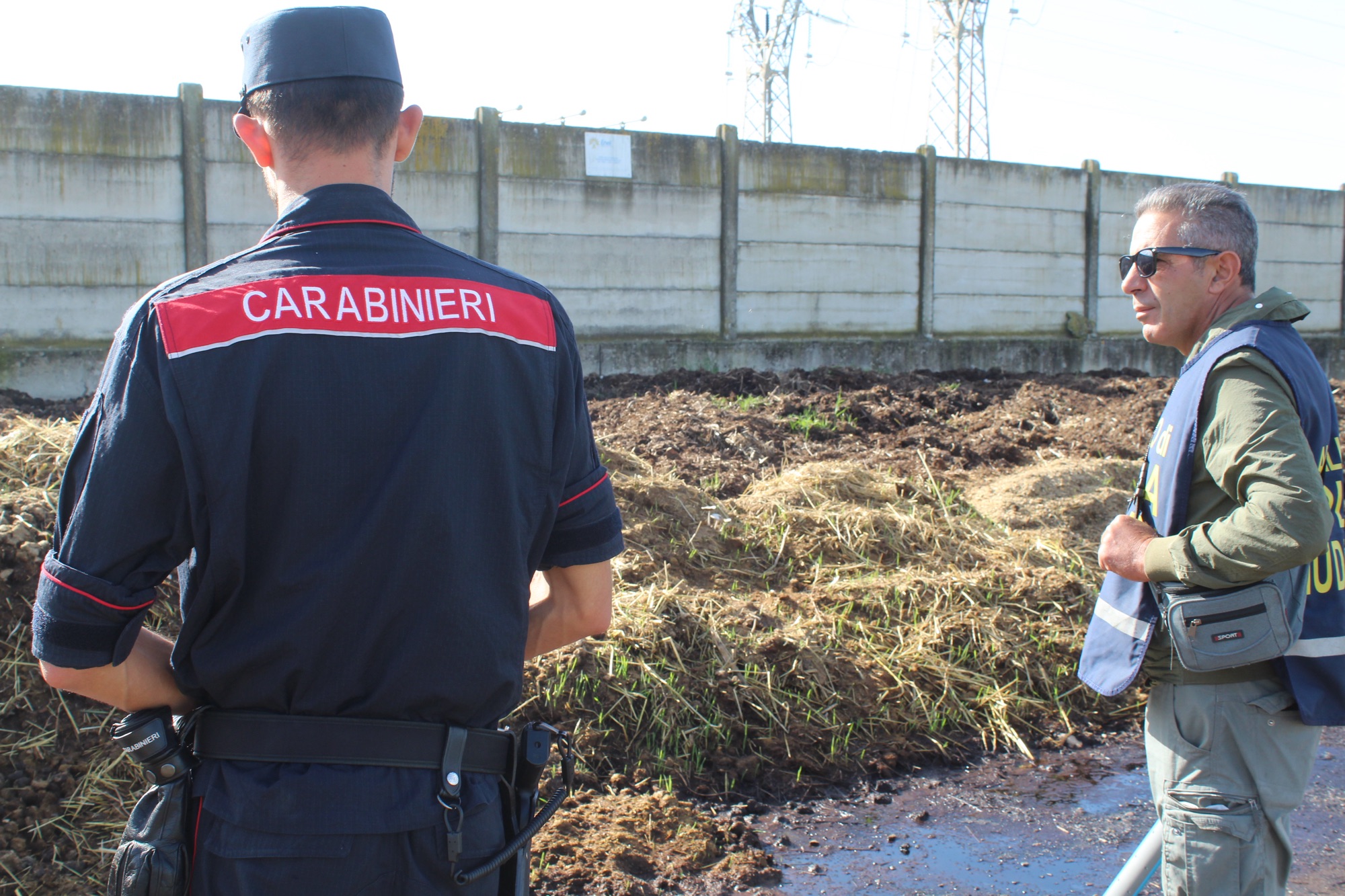 Smaltimento illecito di rifiuti zootecnici: imprenditrice denunciata a Capaccio