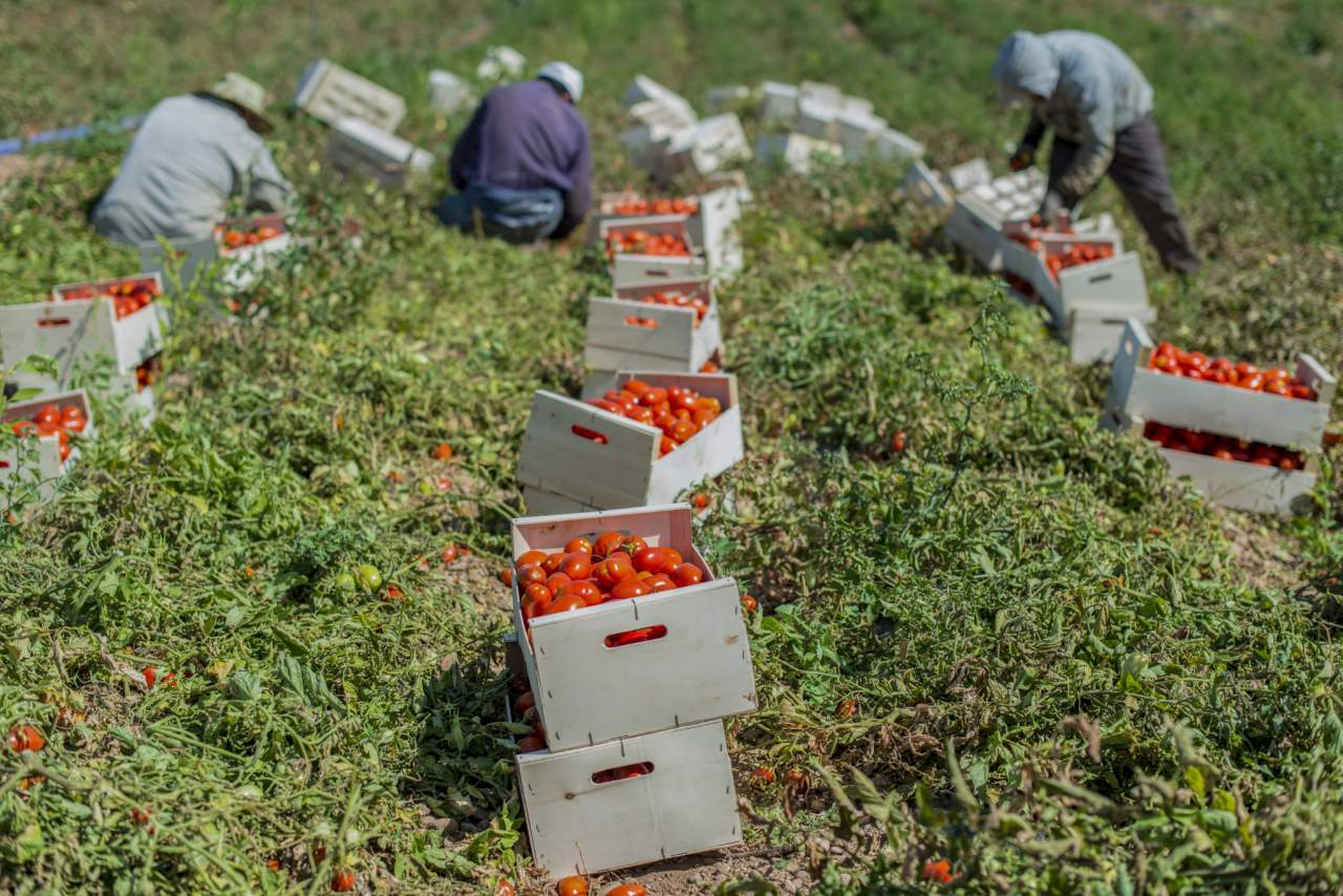 Blitz Finanza: bloccate 3.339 richieste di ingresso per lavoratori extracomunitari nel salernitano