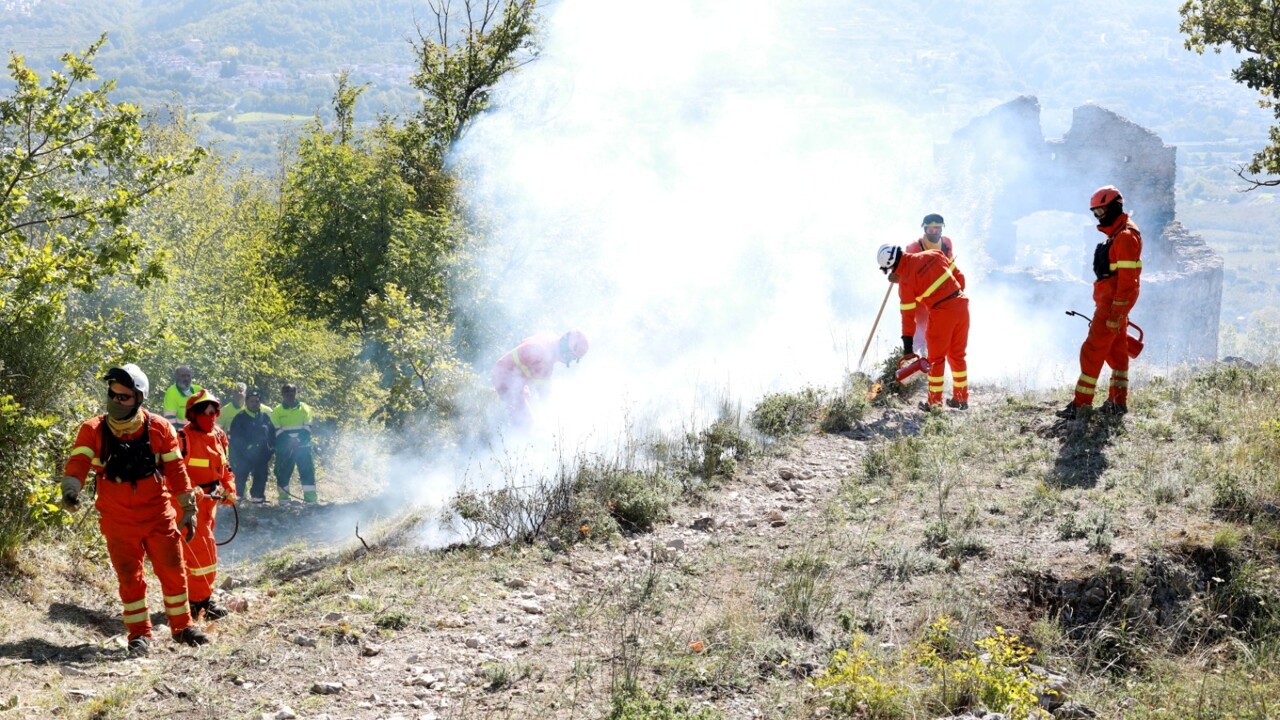 Campania, approvata la legge per la stabilizzazione degli operai forestali