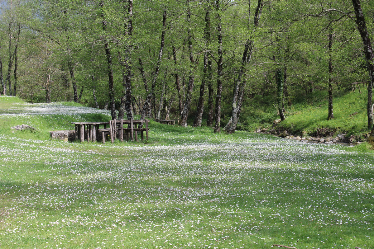 Tortorella, bando di gara per la gestione dell’area pic-nic comunale