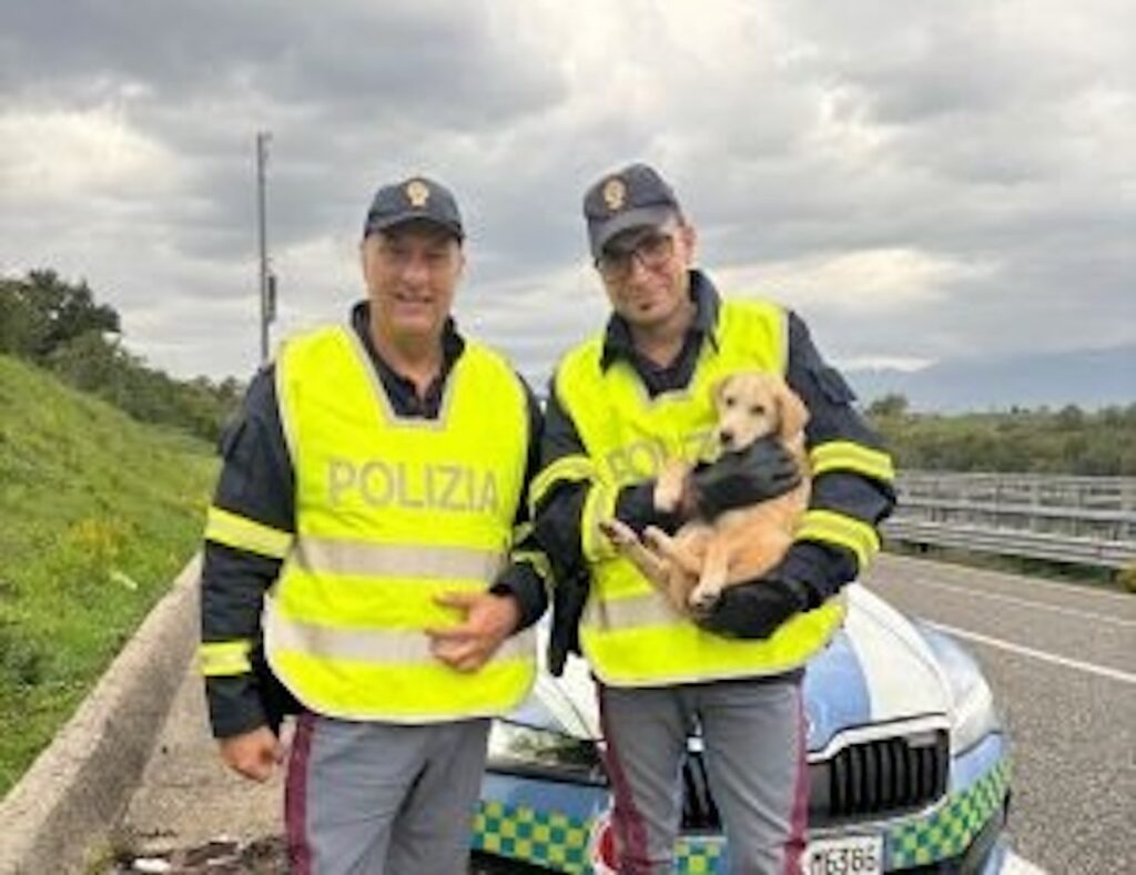 Polizia salva un cucciolo di cane sull’A2 del Mediterraneo