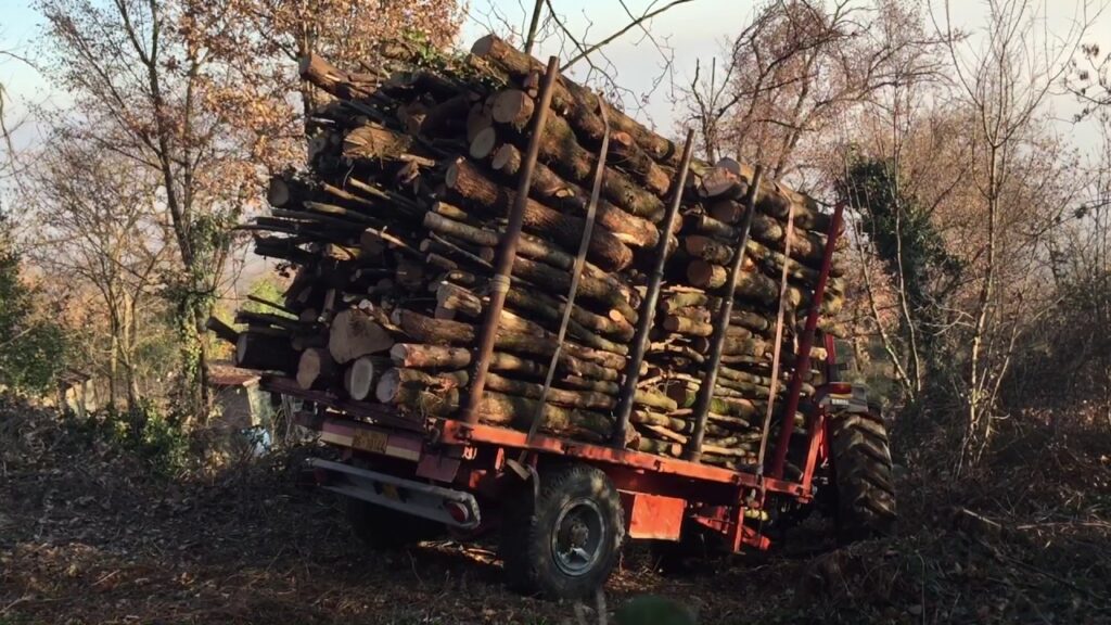 Futani, operaio cade dal camion mentre carica la legna: è grave. Aperta indagine