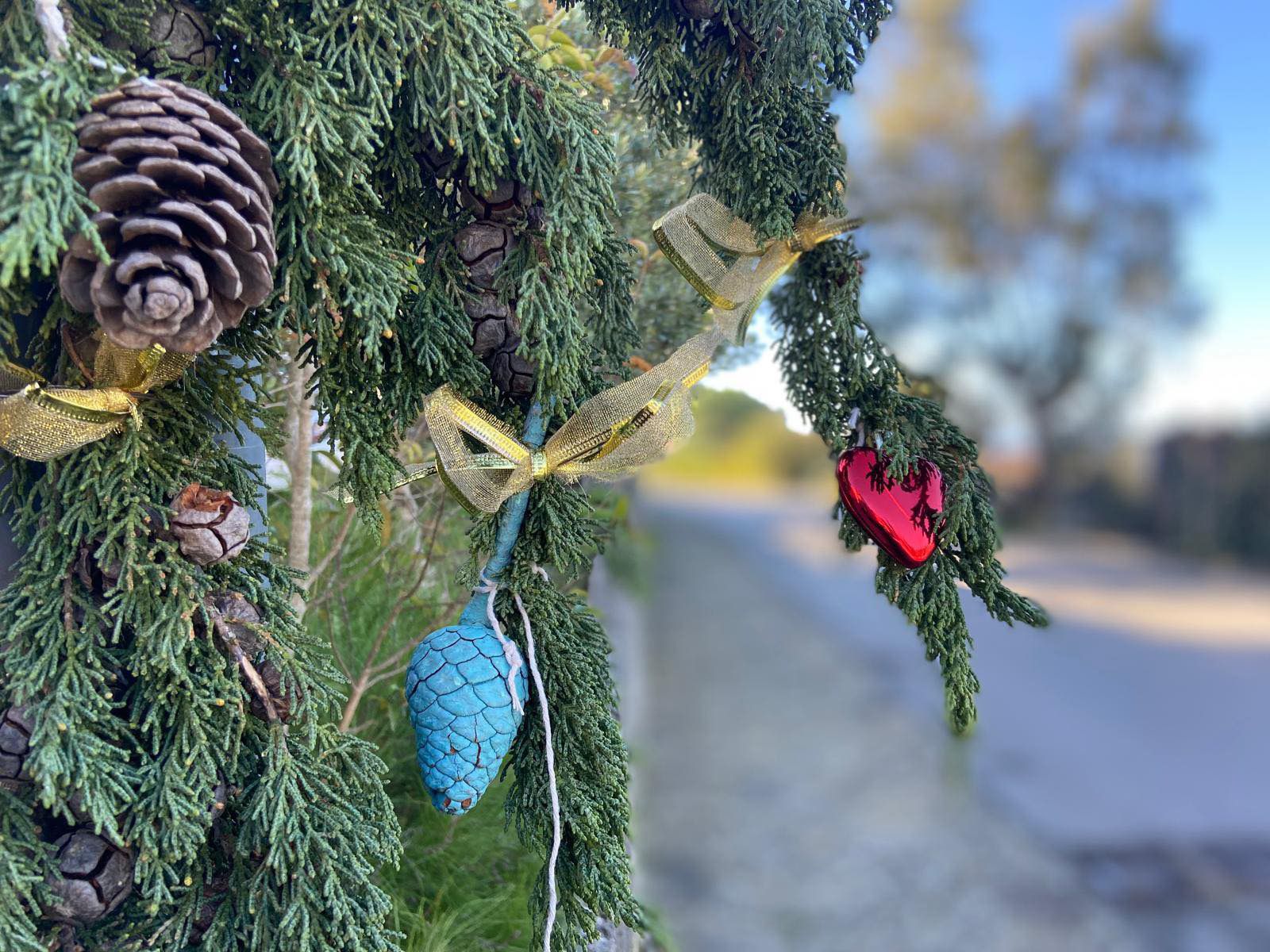 Natale Green a San Mauro Cilento: quando il riciclo si trasforma in magia