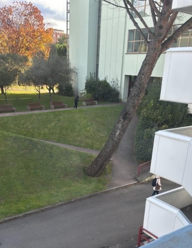 Crollo albero campus Fisciano, 25enne lotta tra la vita e la morte. Spunta una foto utile alle indagini