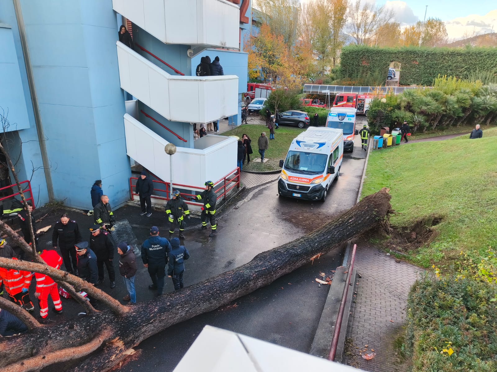 Crollo albero campus Fisciano: 6 indagati