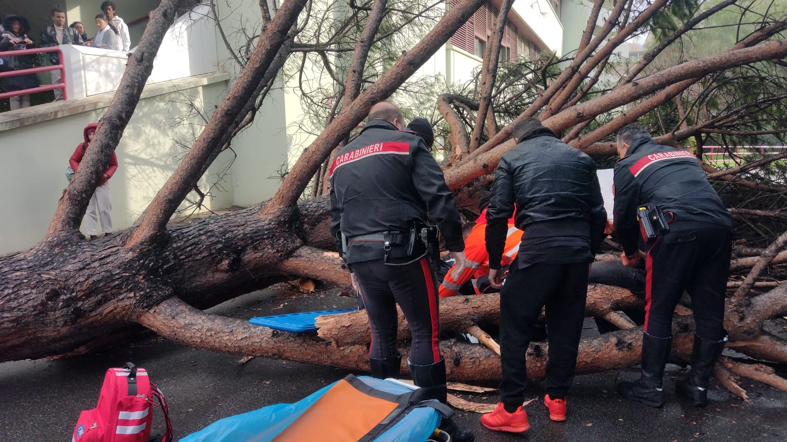 Fisciano, nelle chat degli studenti si parlava dell’albero «pericoloso» già da mesi