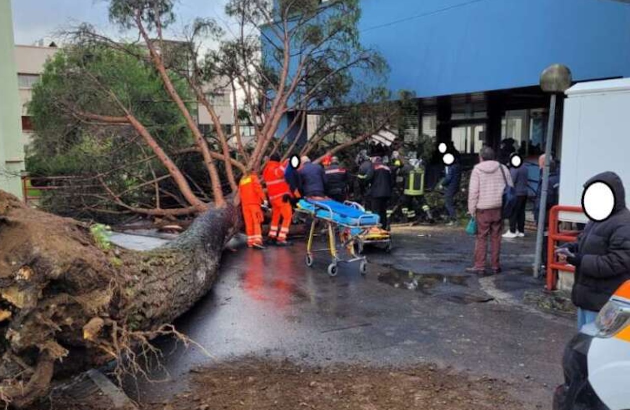 Albero crollato università Fisciano, sangue per salvare Carmine Fiorillo: 25enne resta grave