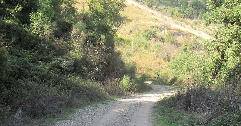 Strade fantasma nel Cilento, Fondazione Vassallo chiede consiglio provinciale per fondi