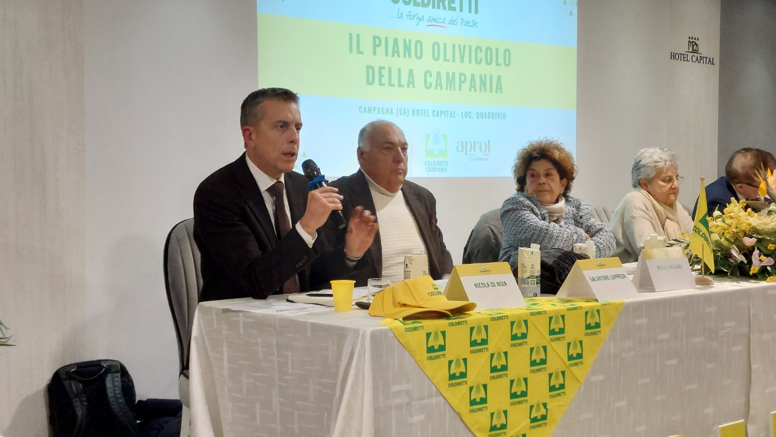 L’olio della Campania punta in alto: presentato il piano olivicolo regionale