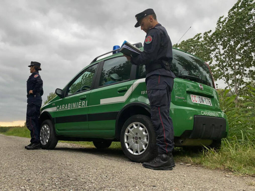 Opere abusive e smaltimento illecito di rifiuti: blitz dei forestali. C’è un indagato