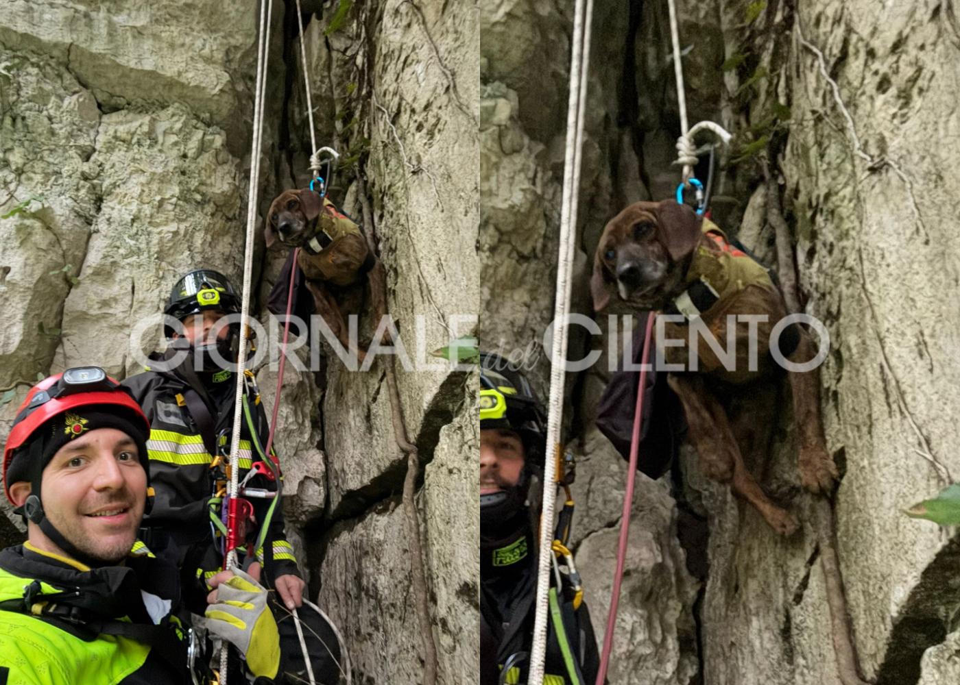 Roscigno: cane cade nel fiume Sammaro, salvato dai vigili del fuoco