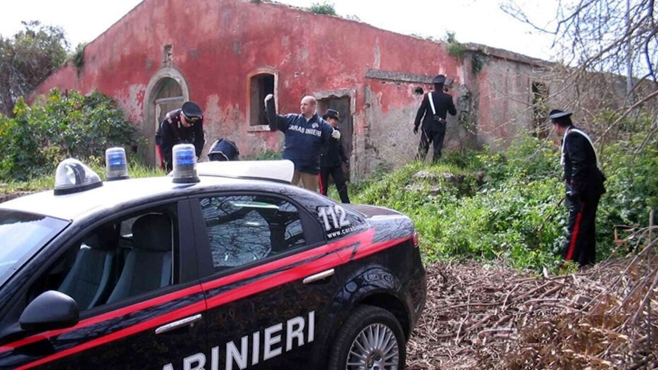 Montecorvino Rovella: allevatore a processo per violenza sessuale