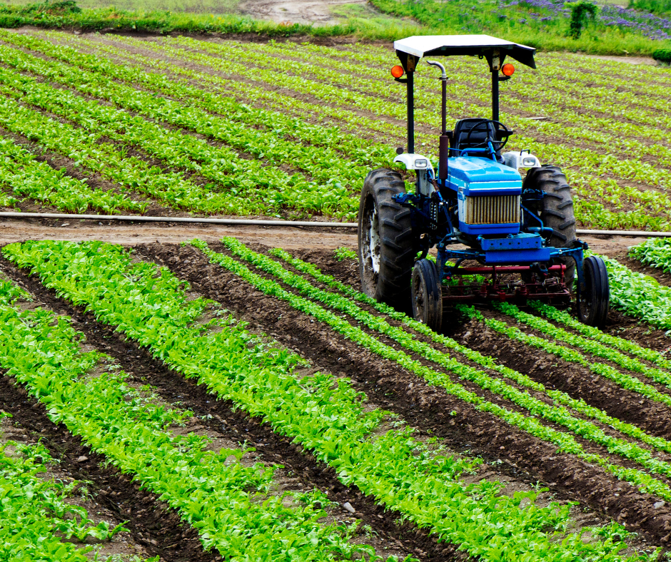 Carburante alle aziende di erbe aromatiche fresche, Confagricoltura sollecita la Regione