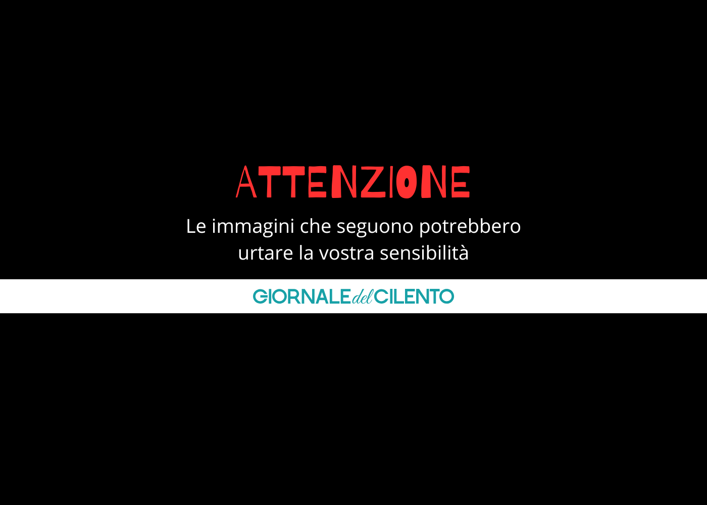 Strage di cani a Caselle in Pittari: sospetto avvelenamento