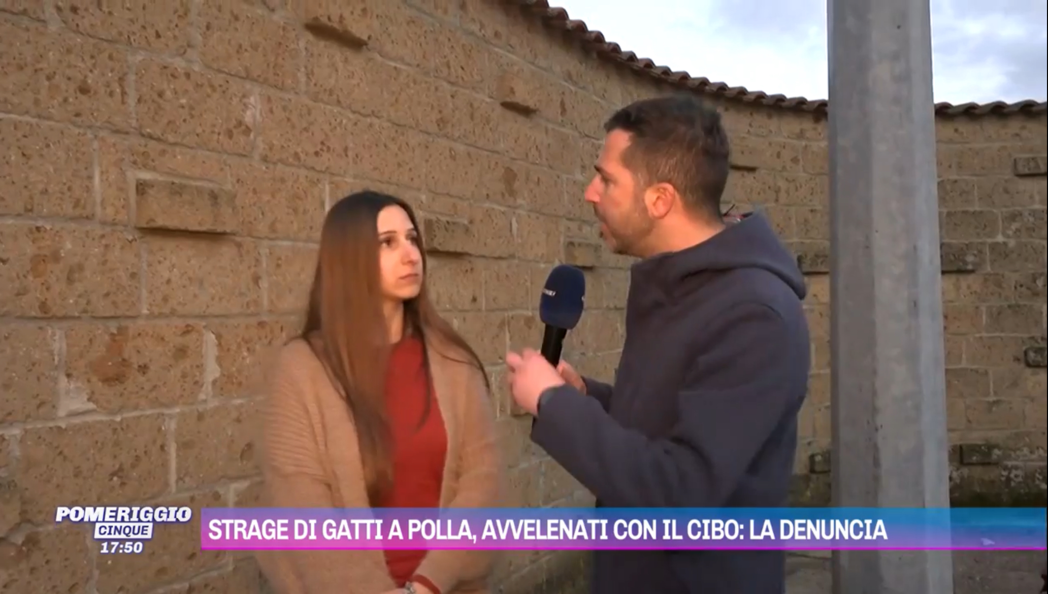 Strage di gatti, a Polla le telecamere di Pomeriggio5