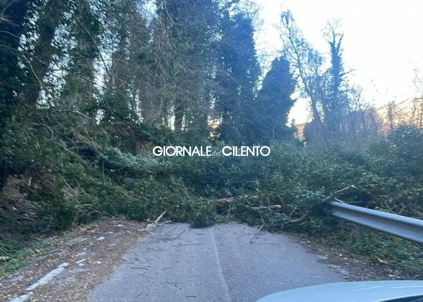 Casaletto Spartano: strada chiusa in località Fortino per caduta alberi